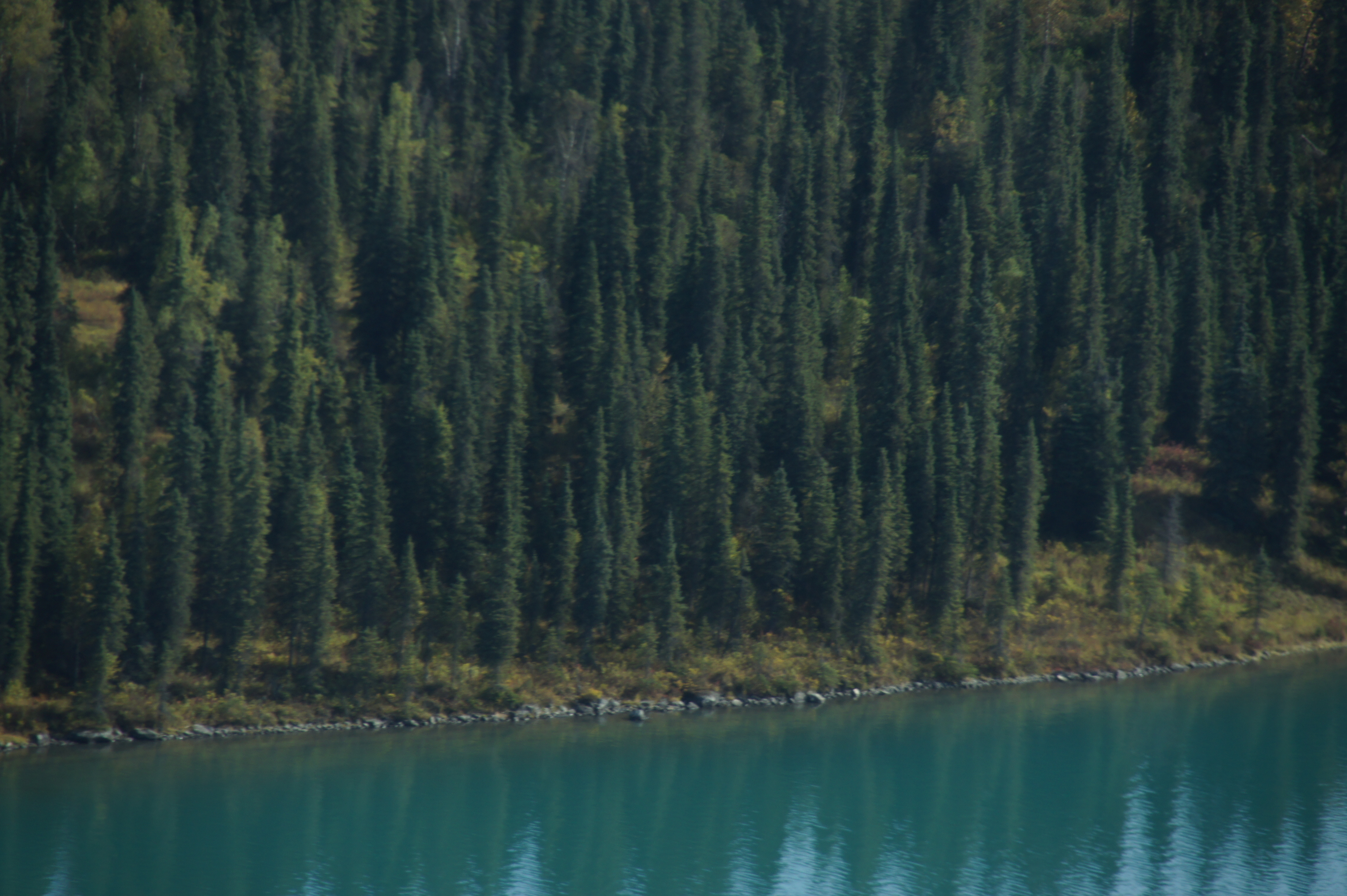 Click to return to the thumbnail index